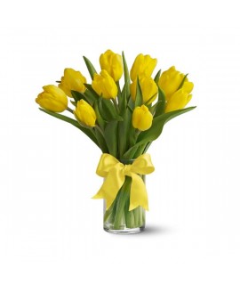 Sunny Yellow Tulips